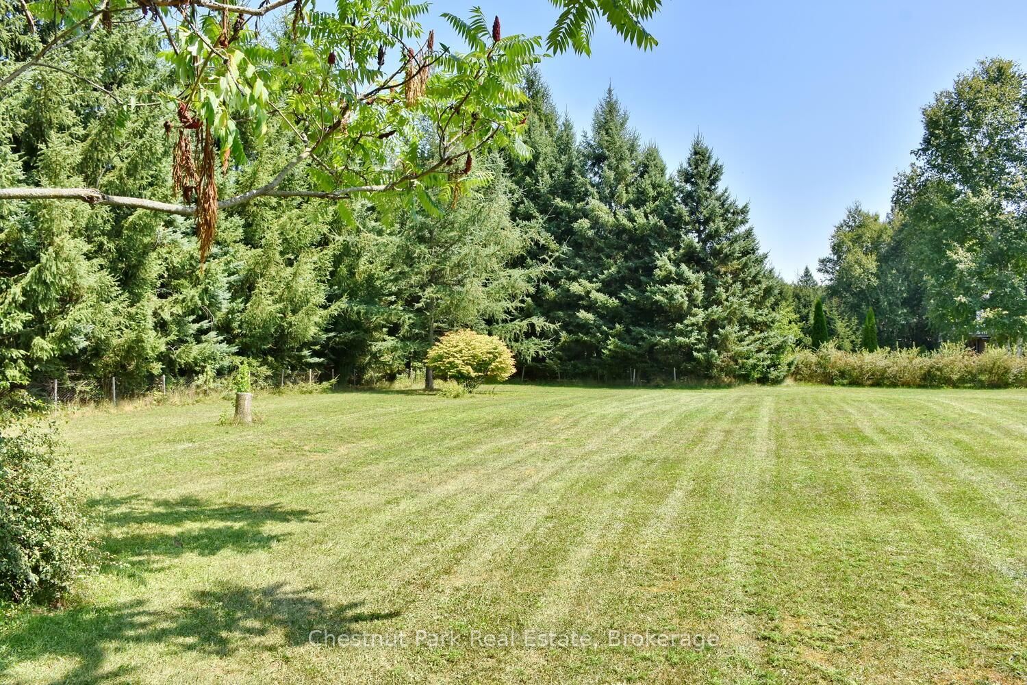 7802 36/37 Nottawasaga Side Road • Clearview, ON photo 15