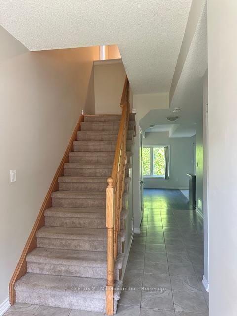 32 Arcadia Road