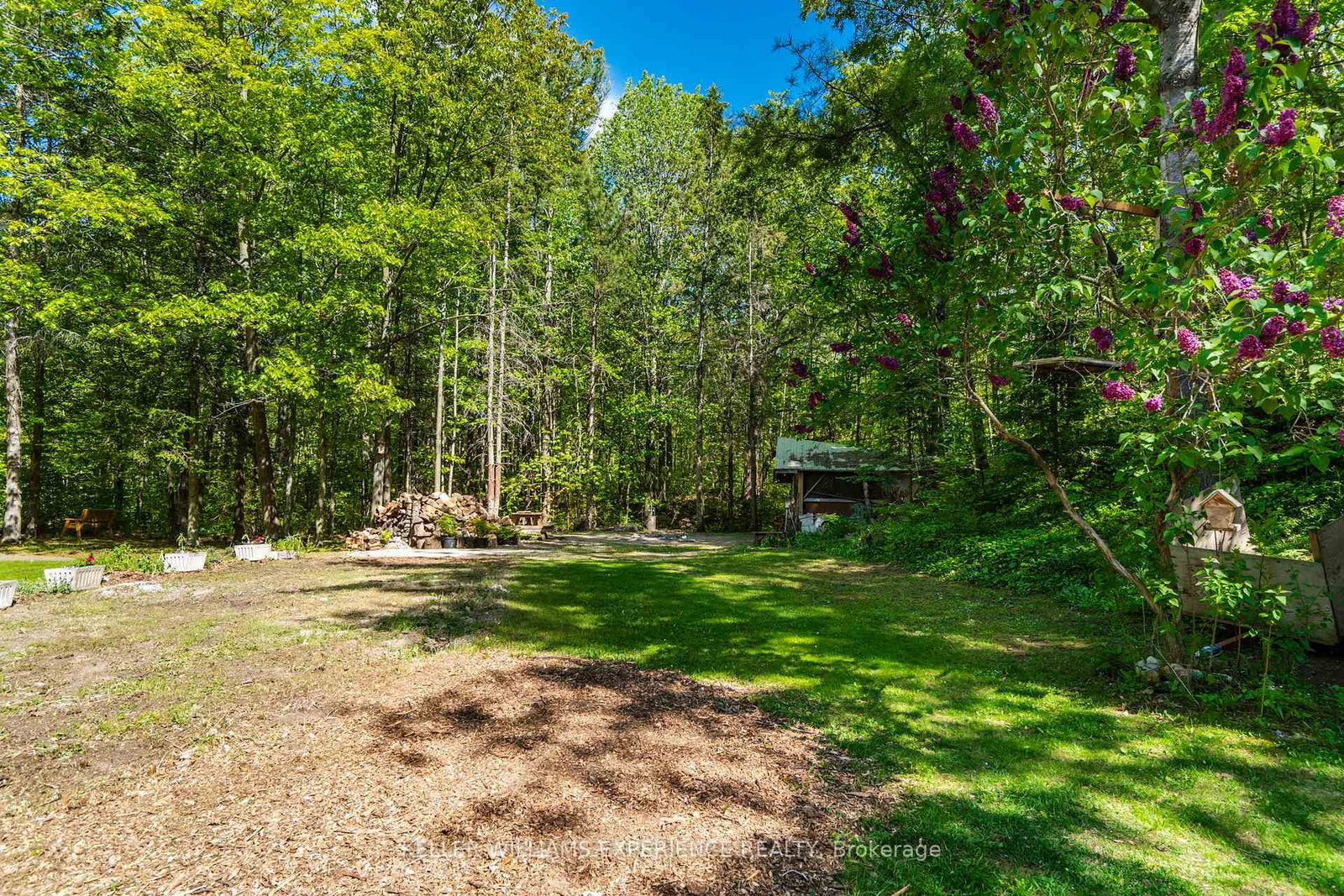 181 Park Road • Tiny, ON photo 5