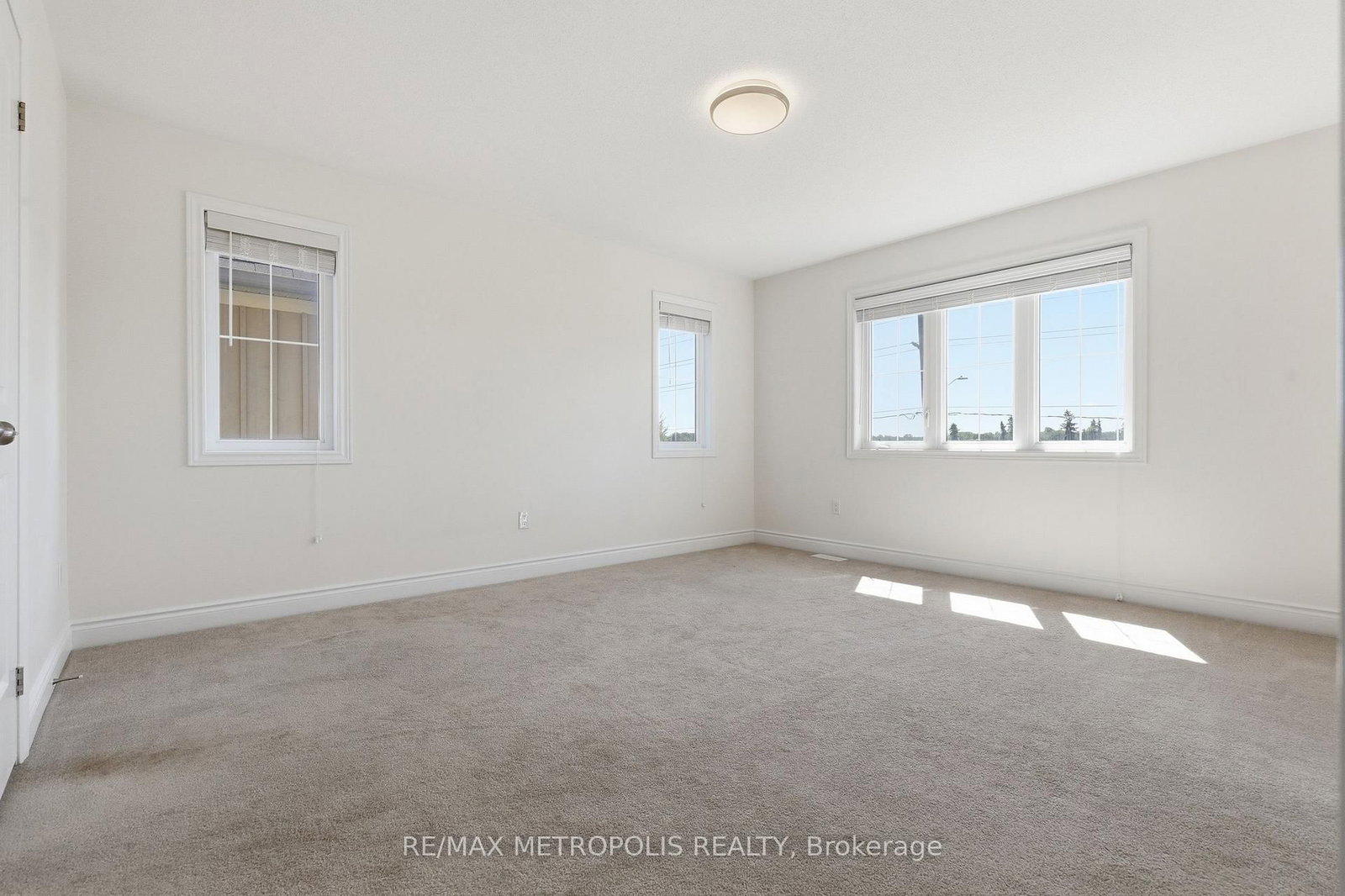 34 Robertson Street • Collingwood, ON photo 23