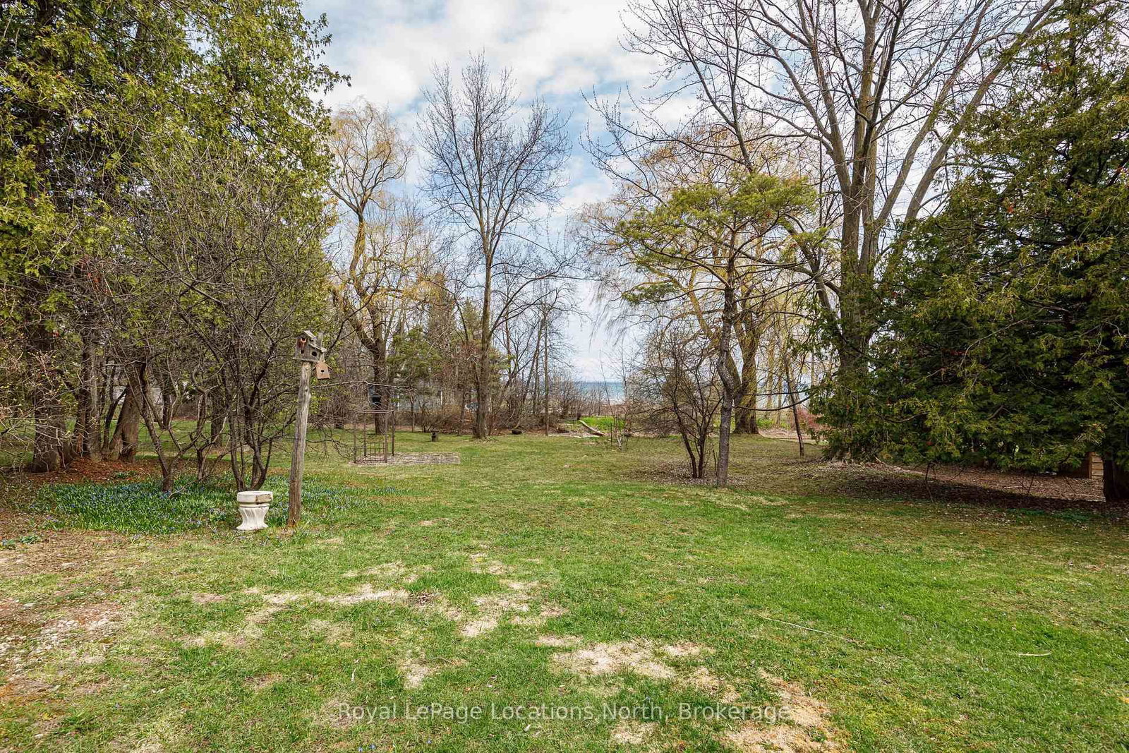 21 Eva Crescent • Collingwood, ON photo 10