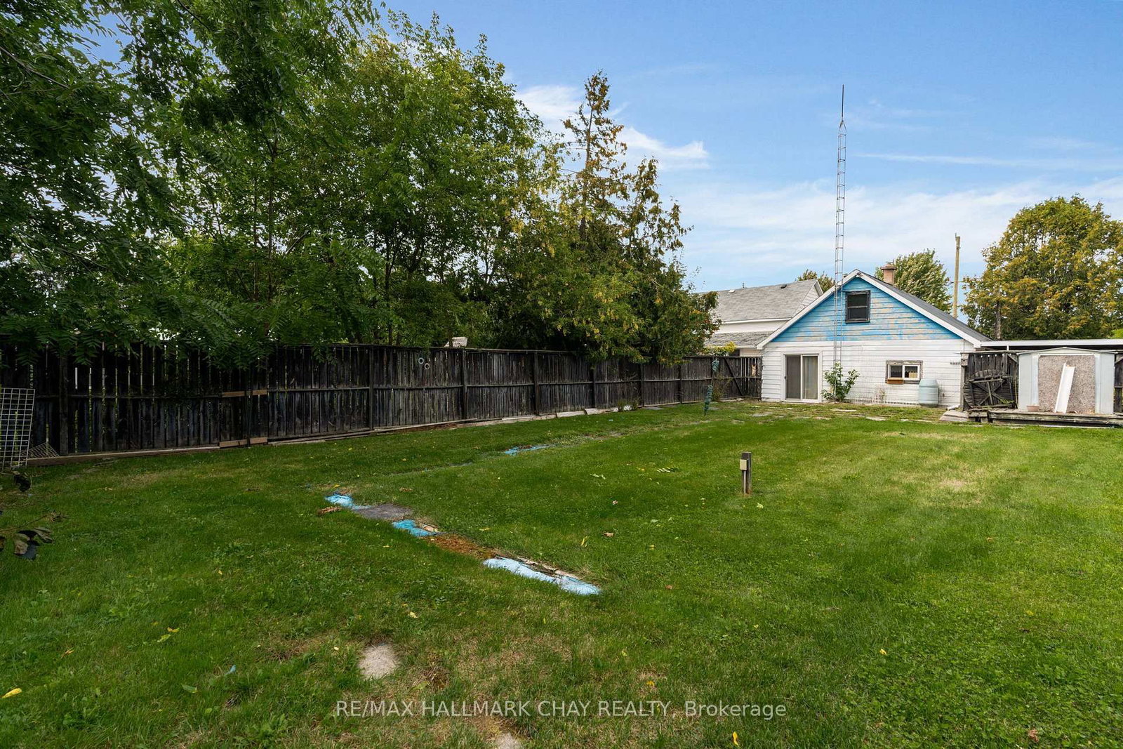 7 Caroline Street E • Clearview, ON photo 21