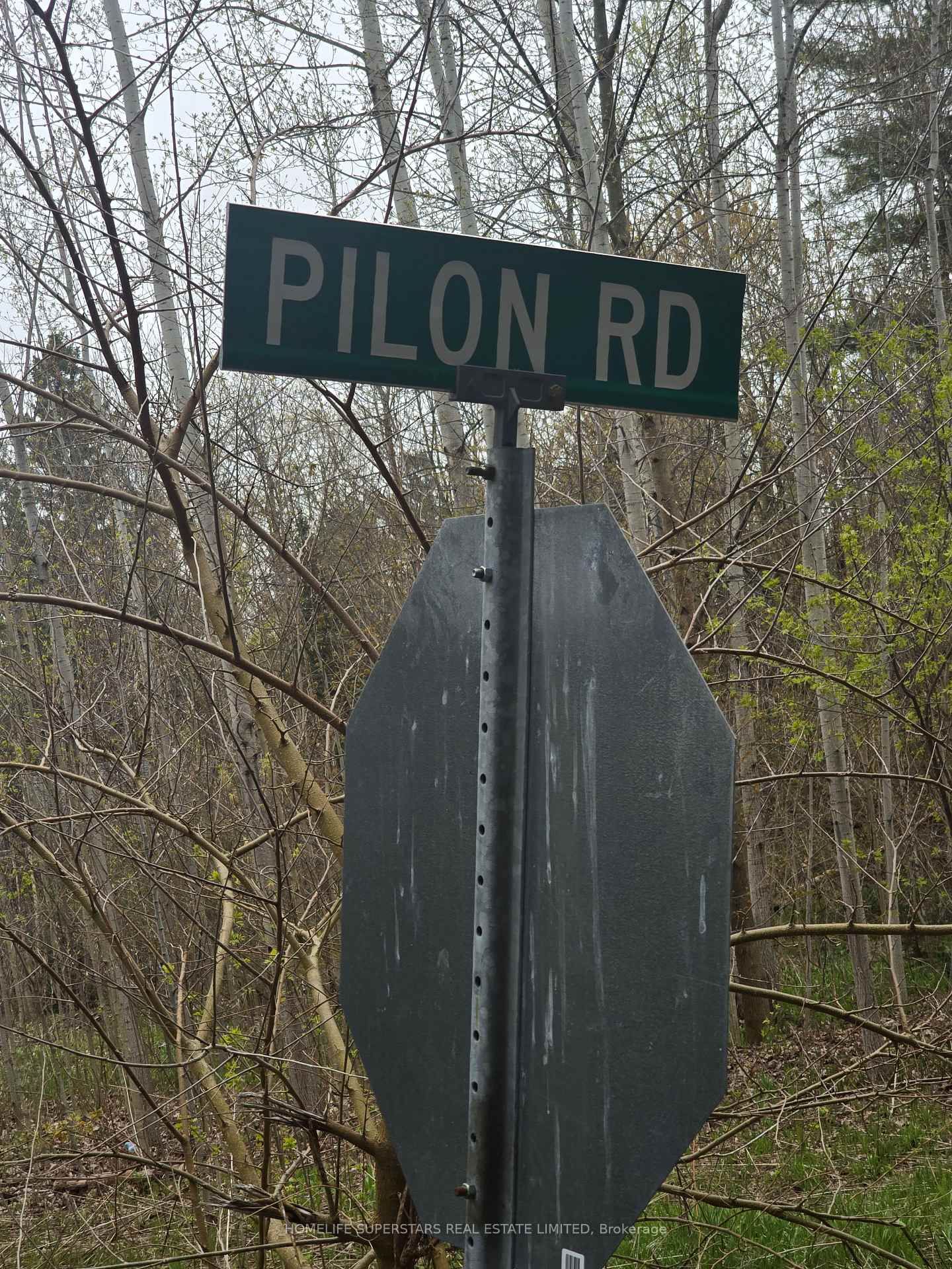 LT 147 PILON Road • Tiny, ON photo 12