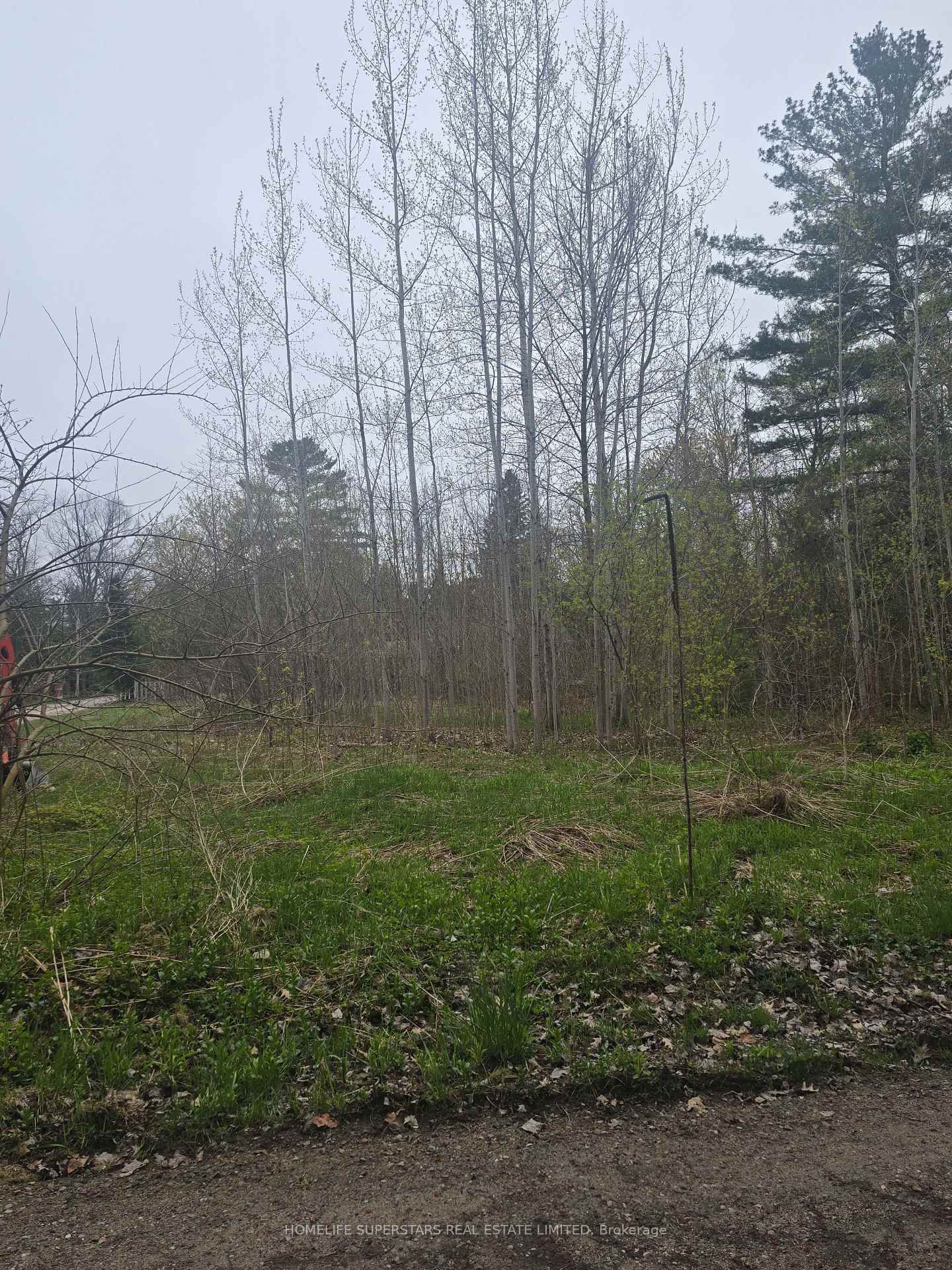 LT 147 PILON Road • Tiny, ON photo 13