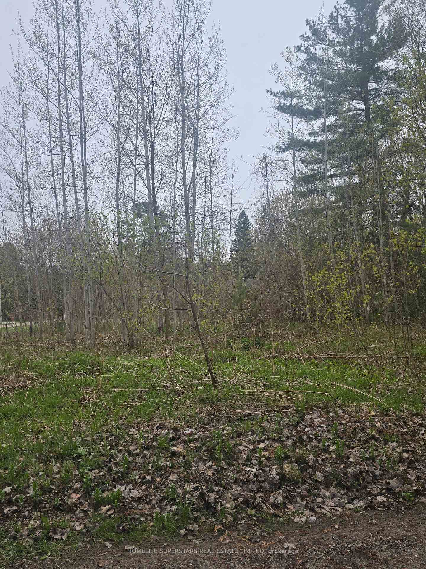 LT 147 PILON Road • Tiny, ON photo 15