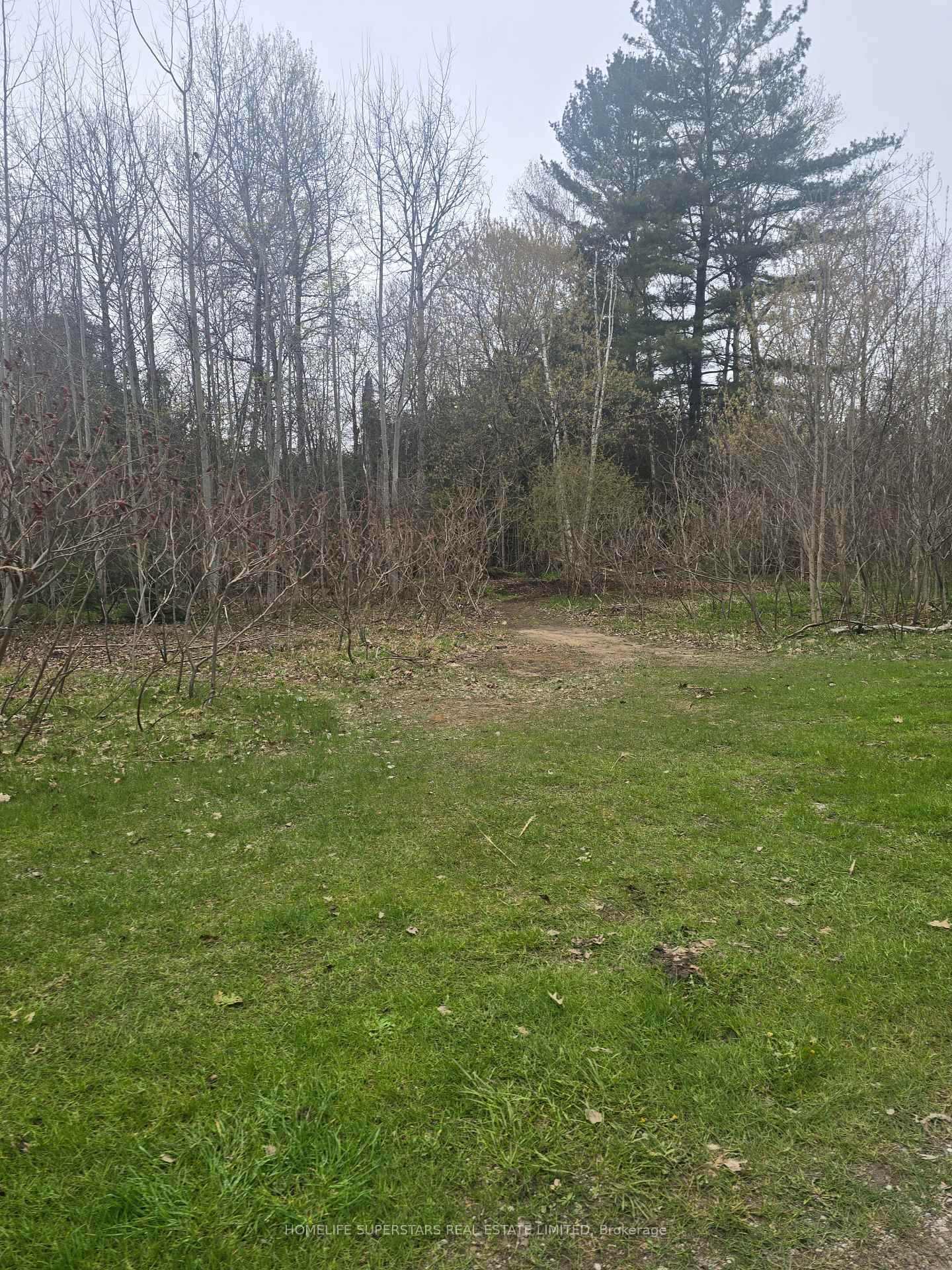 LT 147 PILON Road • Tiny, ON photo 16