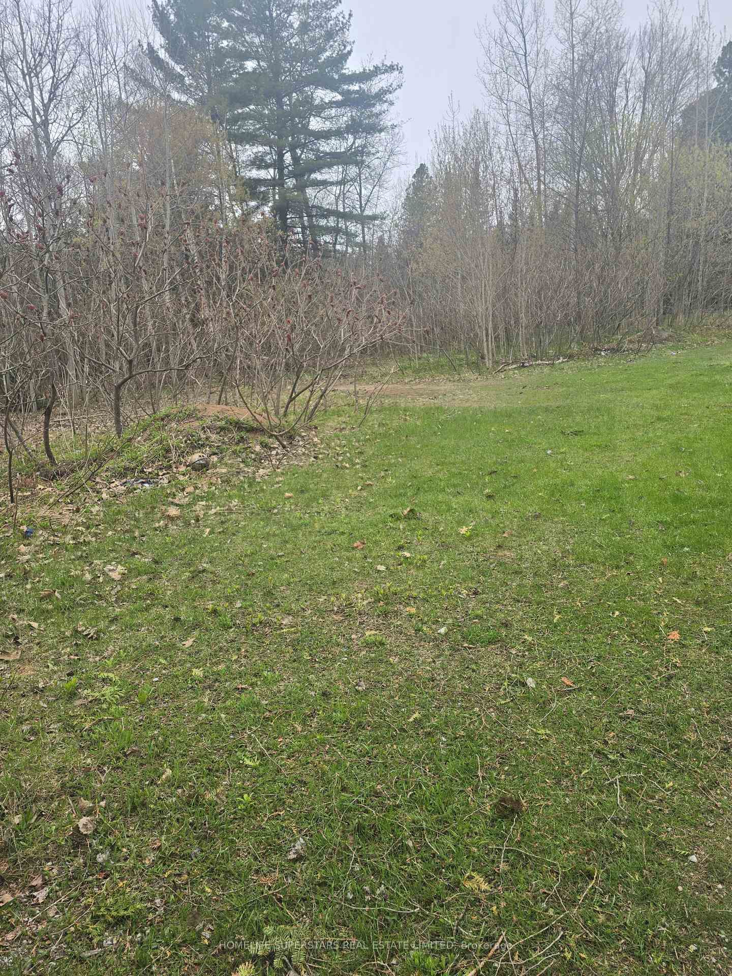 LT 147 PILON Road • Tiny, ON photo 17