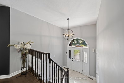 11 Alpine Trail • Springwater, ON photo 5