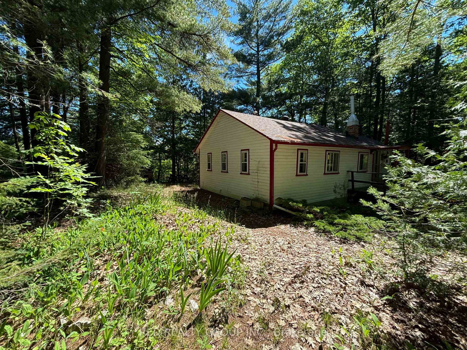 195 Sunnidale Road S • Wasaga Beach, ON photo 2