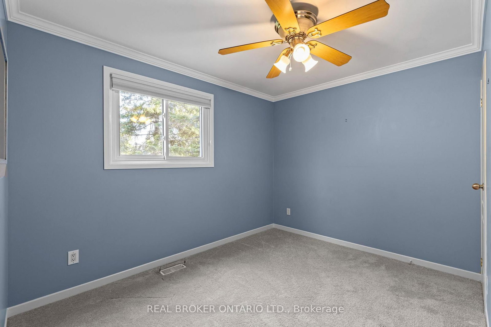 26 Carlton Street • Orillia, ON photo 23