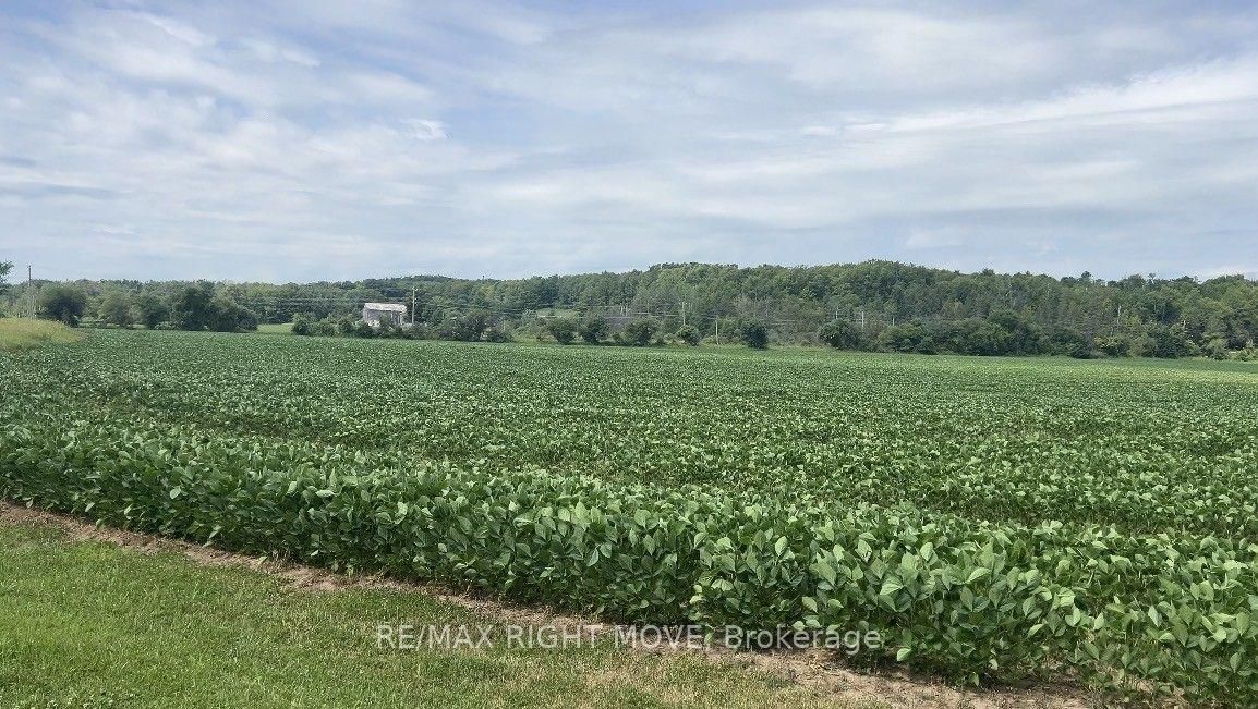 4201 Line 8 Line N • Oro-Medonte, ON photo 26