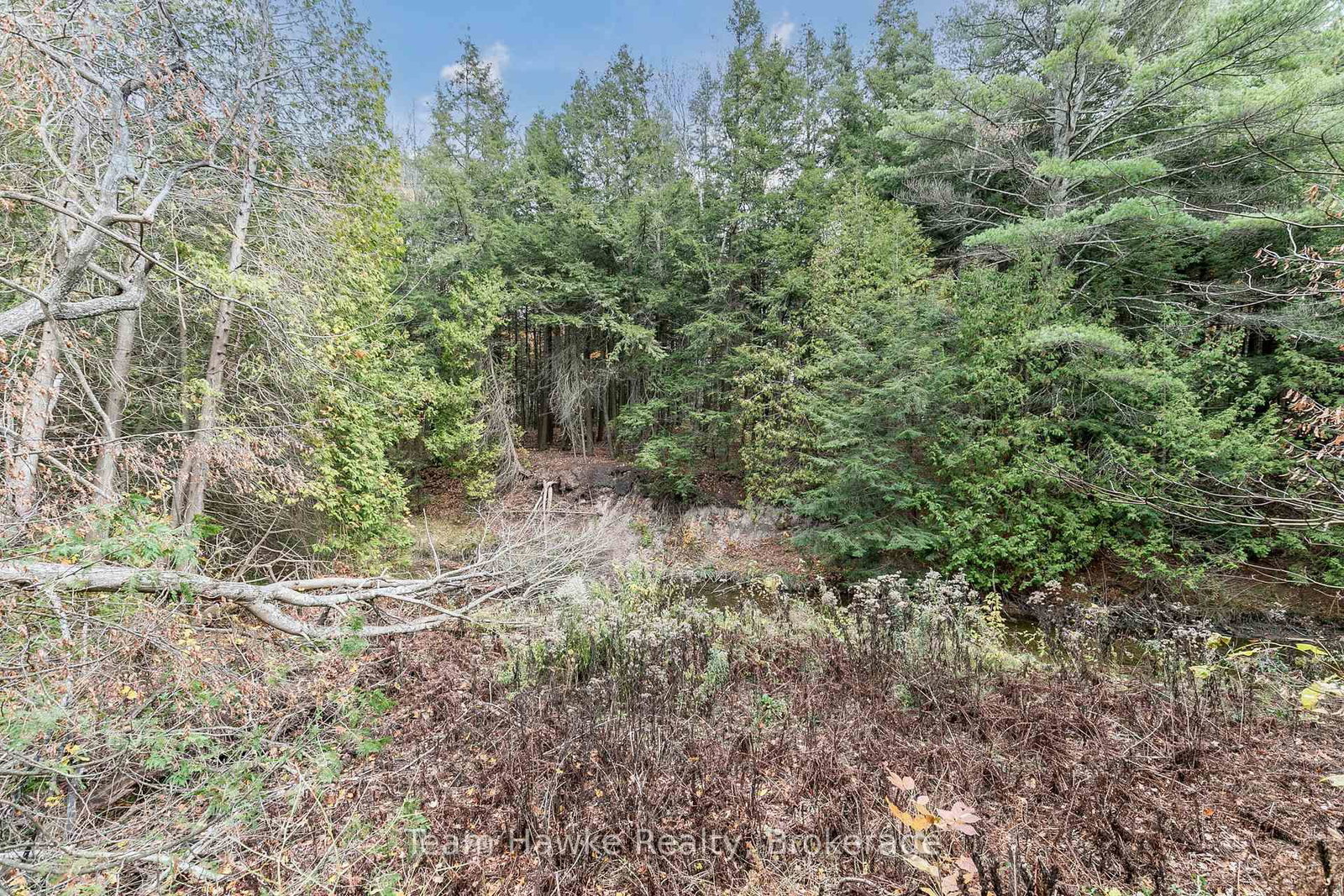 20 Scott Lane • Tiny, ON photo 39