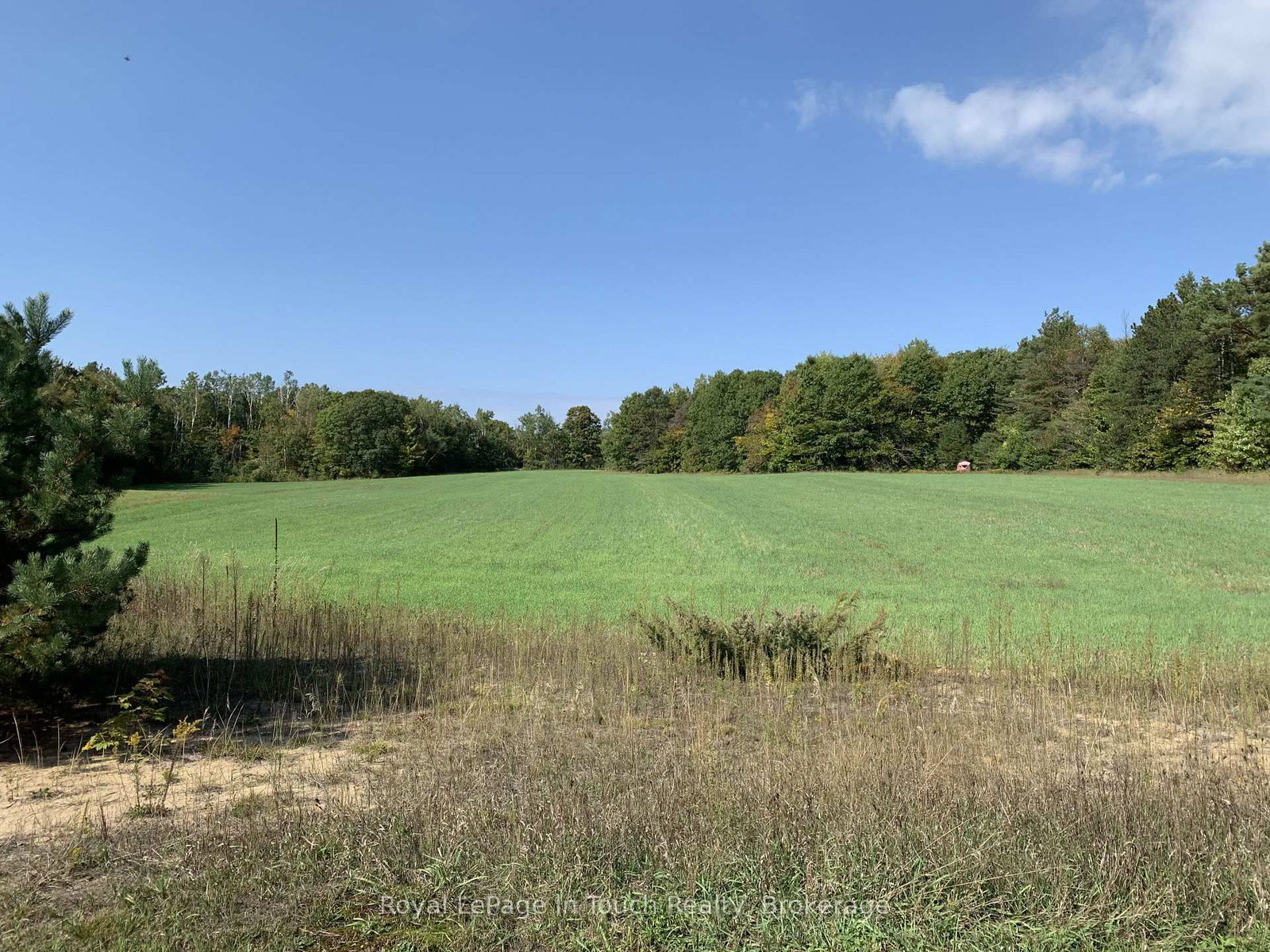 594 County Road 6 Road N • Tiny, ON photo 10