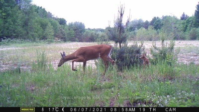 594 County Road 6 Road N • Tiny, ON photo 2