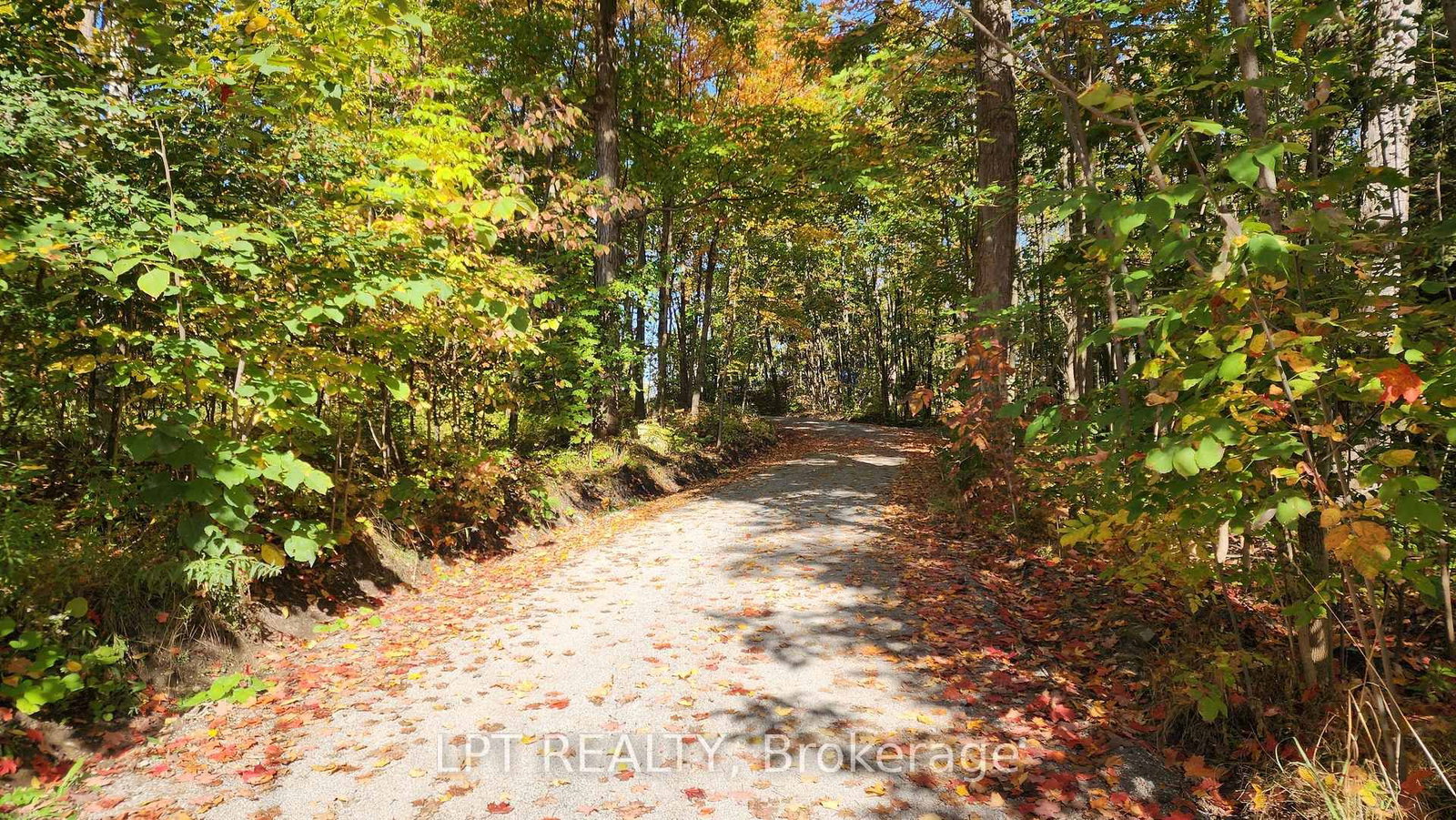 1764 Bay Park Road • Severn, ON photo 23