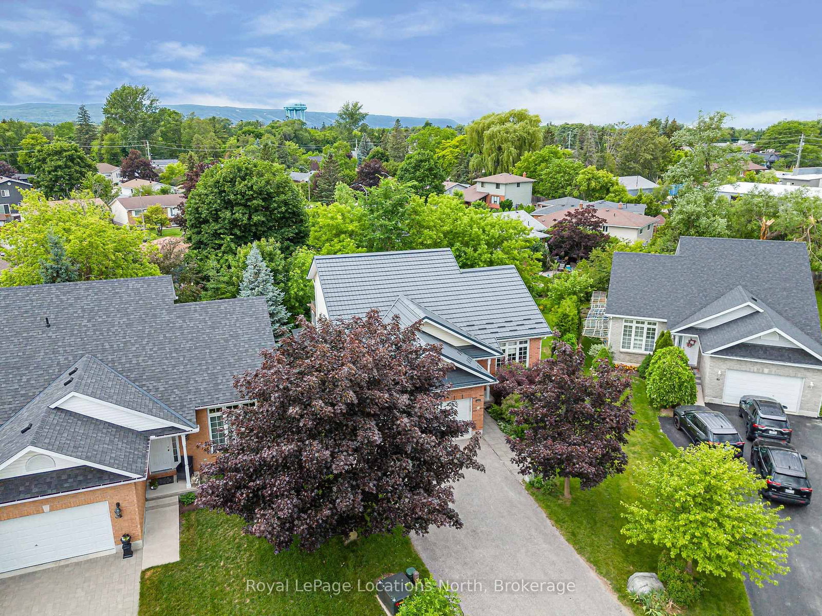18 River Run • Collingwood, ON photo 36