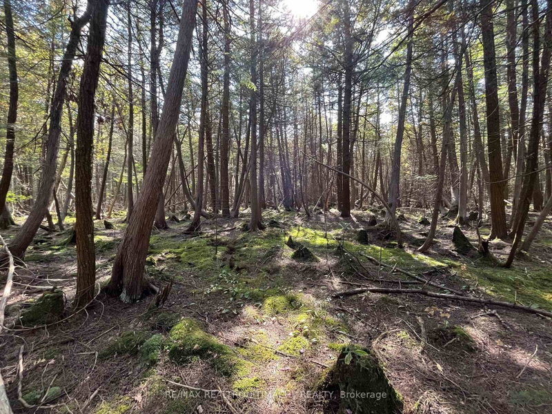 Lot 25 Champlain Road