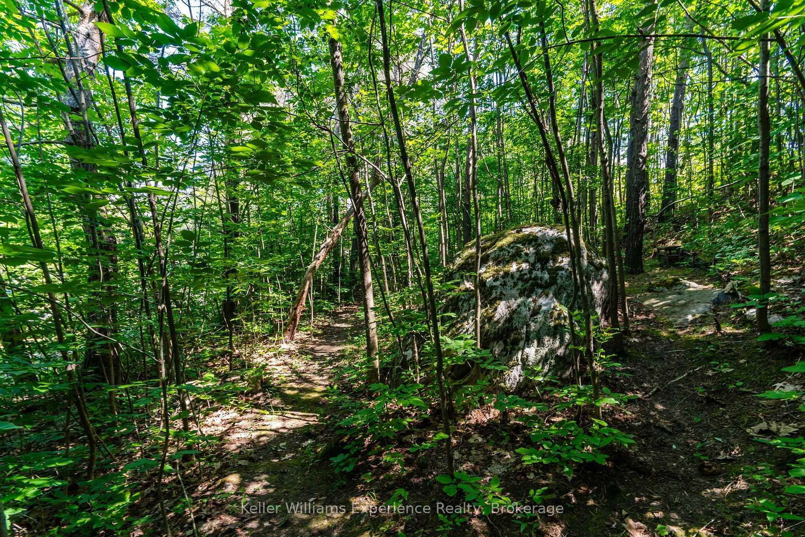 122 Poyntz Street • Penetanguishene, ON photo 42