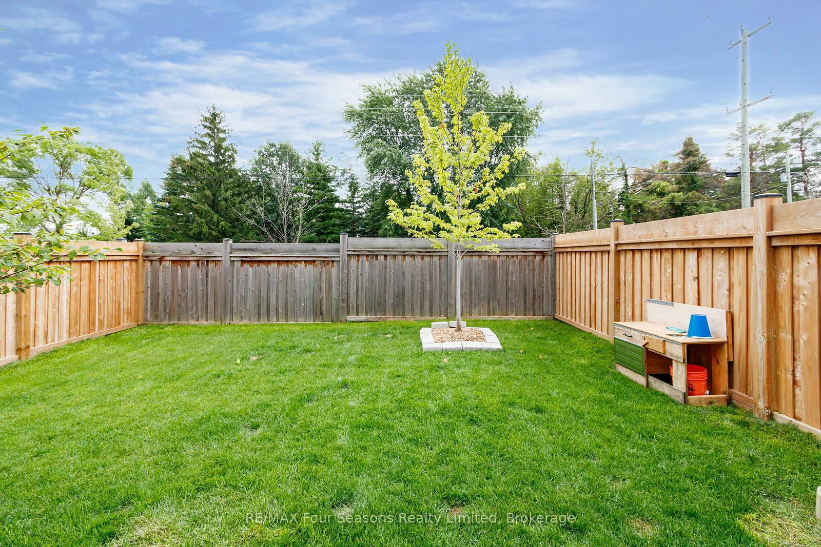 25 Shipley Avenue • Collingwood, ON photo 36