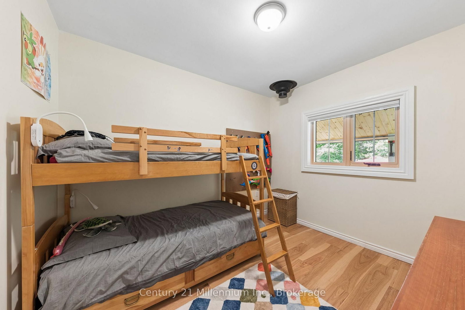 262 Batteaux Road • Clearview, ON photo 21