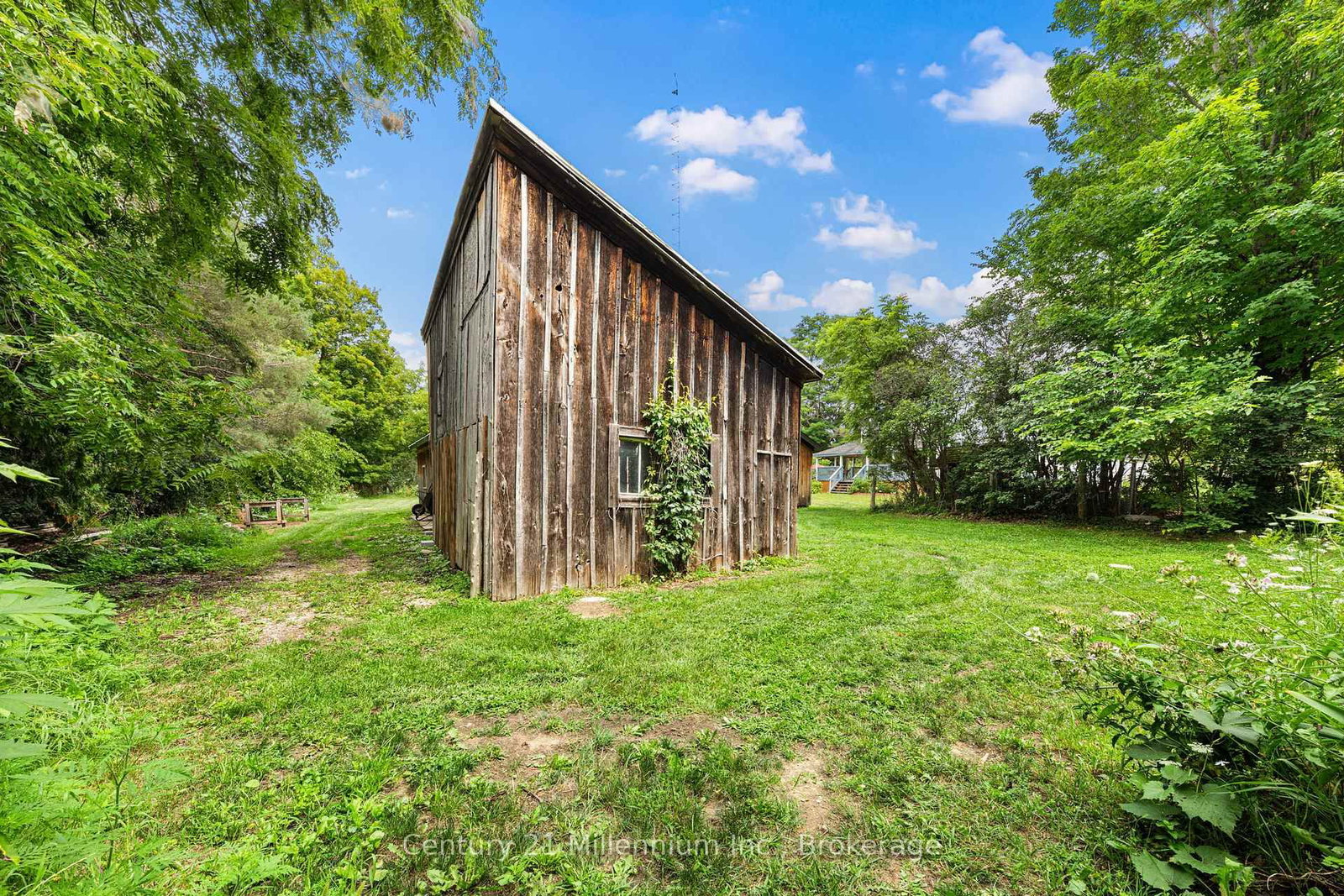262 Batteaux Road • Clearview, ON photo 37