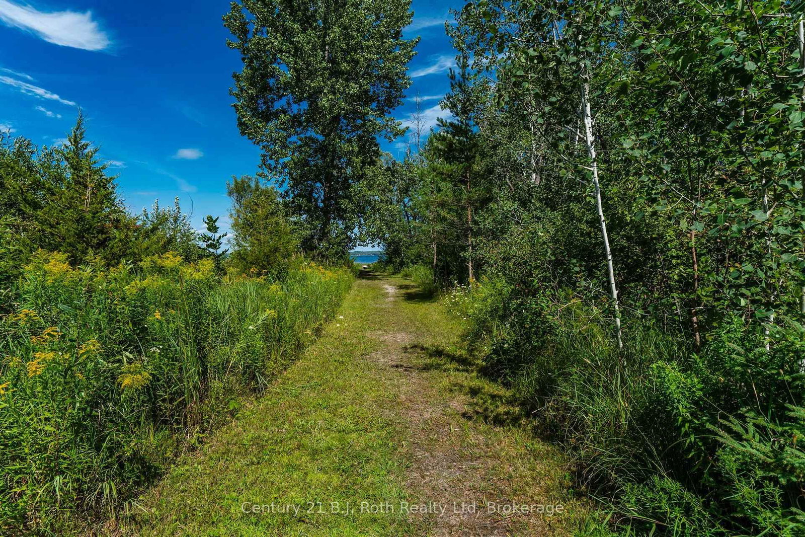 24 Crescent Drive • Tay, ON photo 5