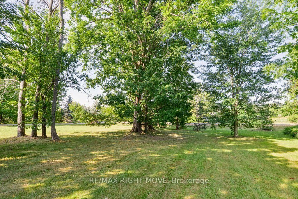 114 11th Line S • Oro-Medonte, ON photo 50