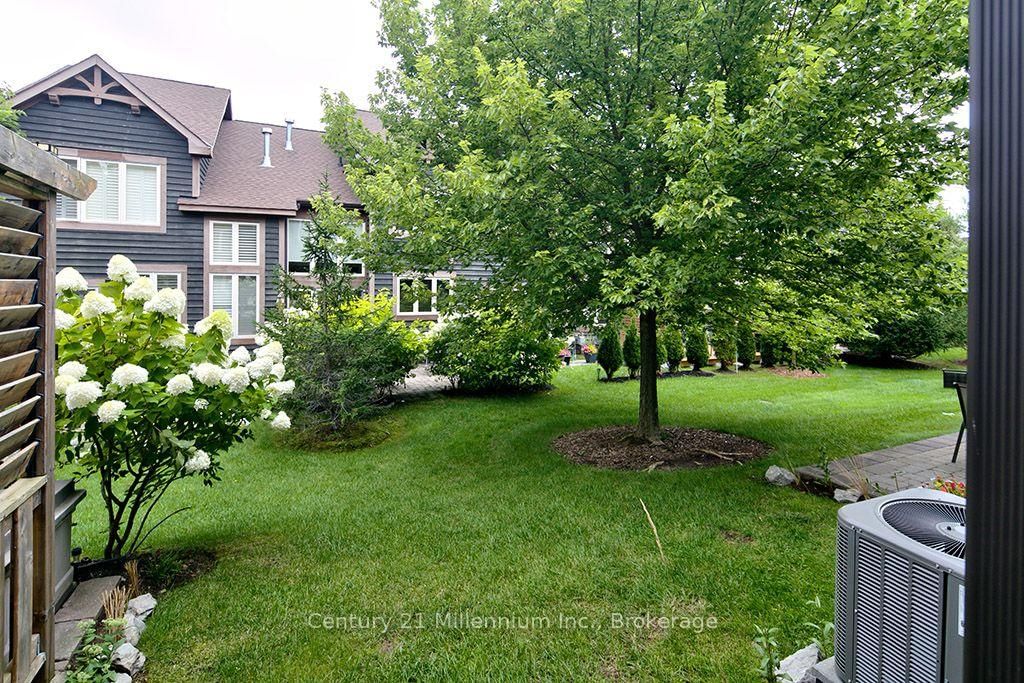 6 Wildrose Trail • Collingwood, ON photo 35