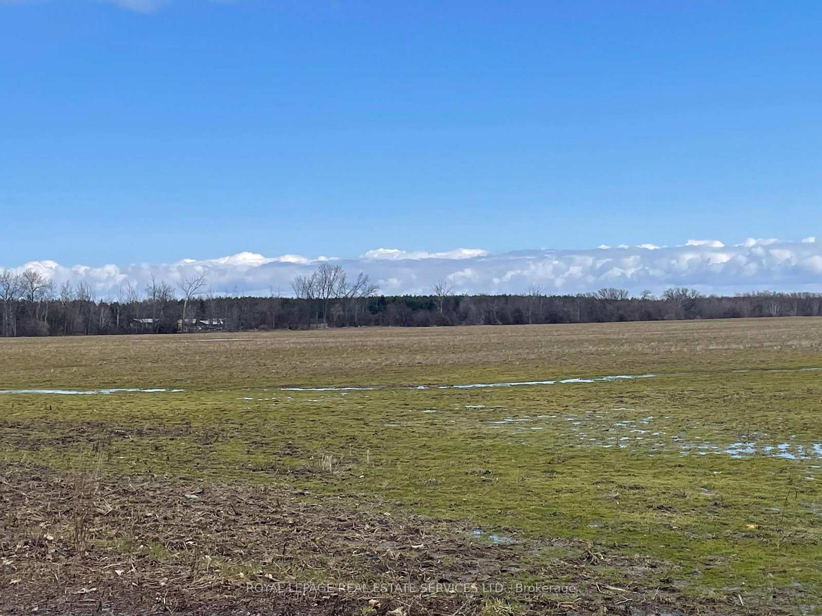 2103 Concession 6 North Nottawasaga • Clearview, ON photo 10