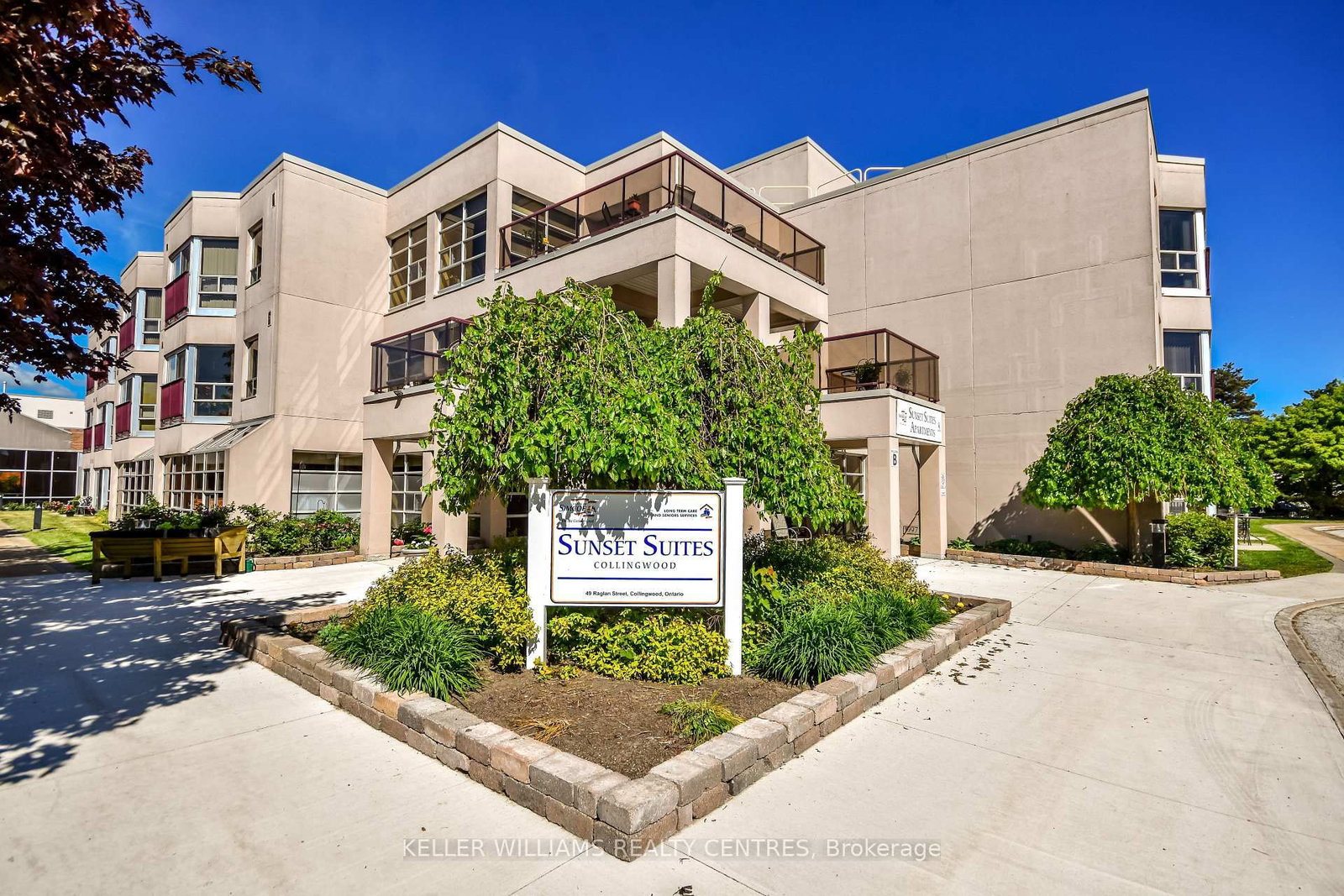49 Raglan Street • #102 • Collingwood, ON photo 1