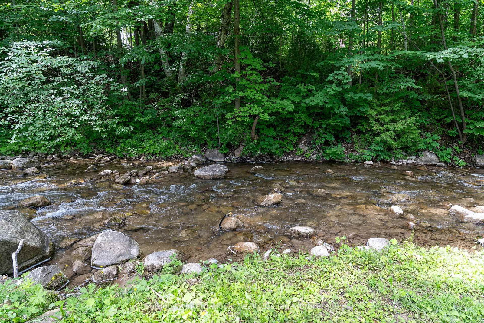 640 Mountain Road • Collingwood, ON photo 34