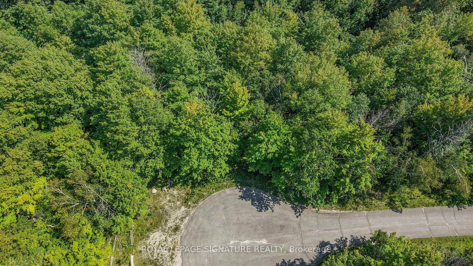 13 Windfields Drive • Oro-Medonte, ON photo 8