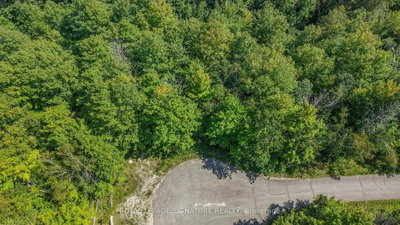 13 Windfields Drive • Oro-Medonte, ON photo 8