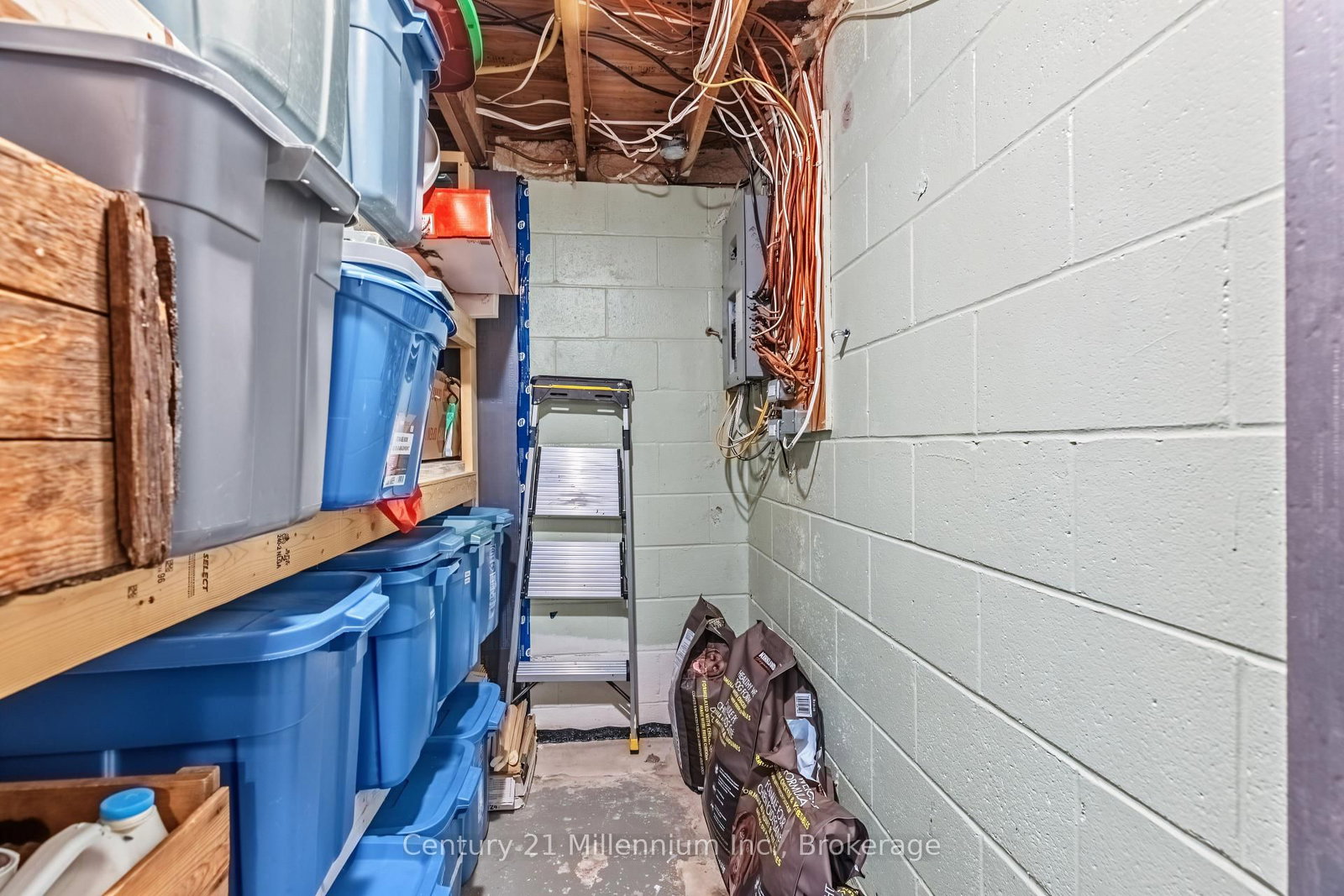 553 Spruce Street • Collingwood, ON photo 38