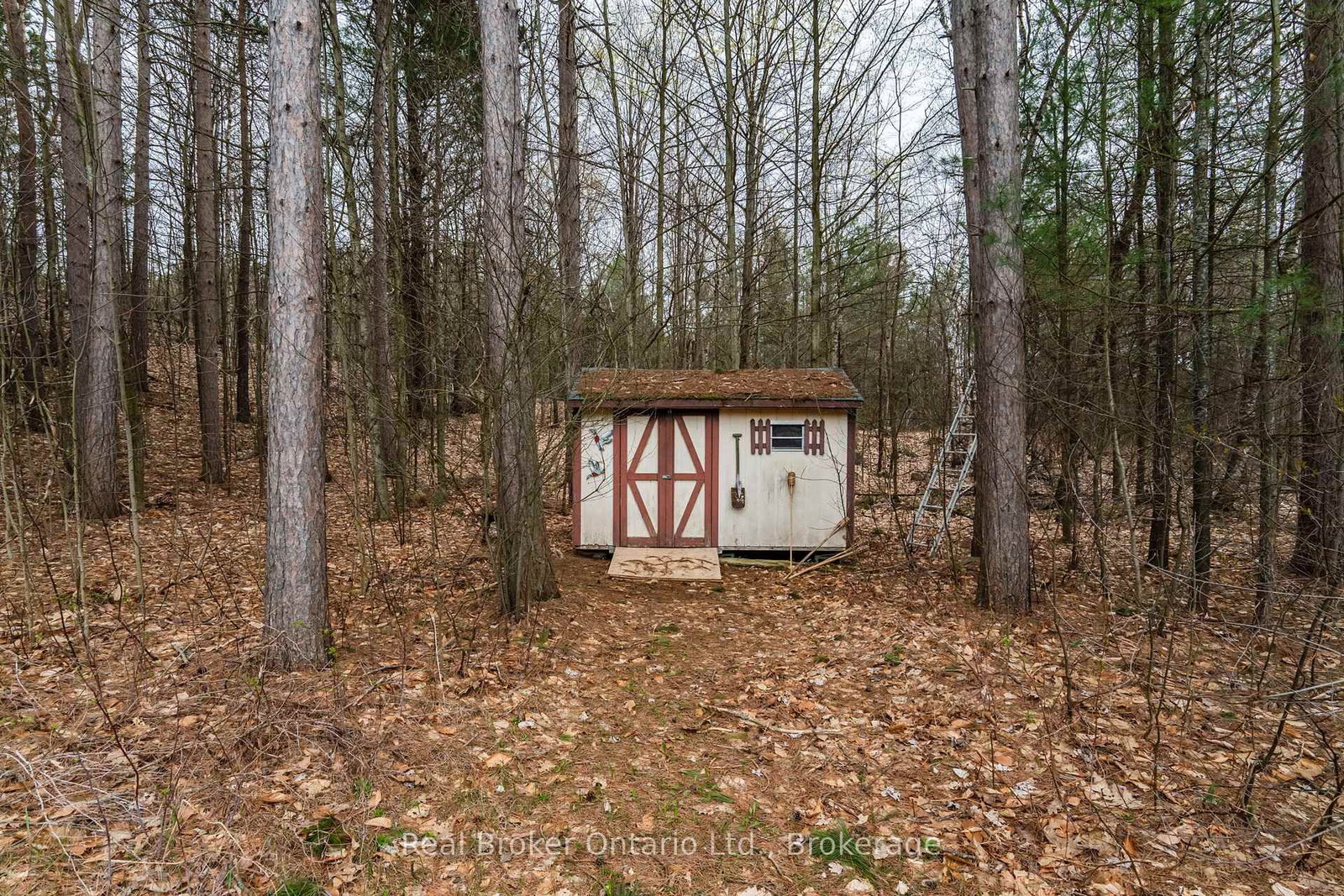 11 Campbell Court • Springwater, ON photo 16