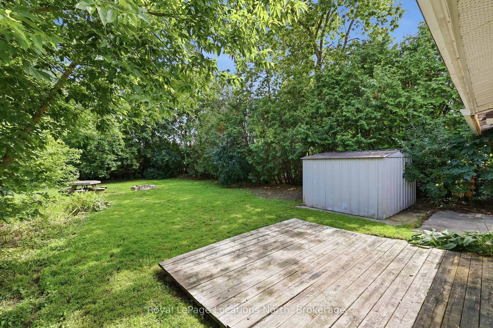 515 MAPLE Street • Collingwood, ON photo 20