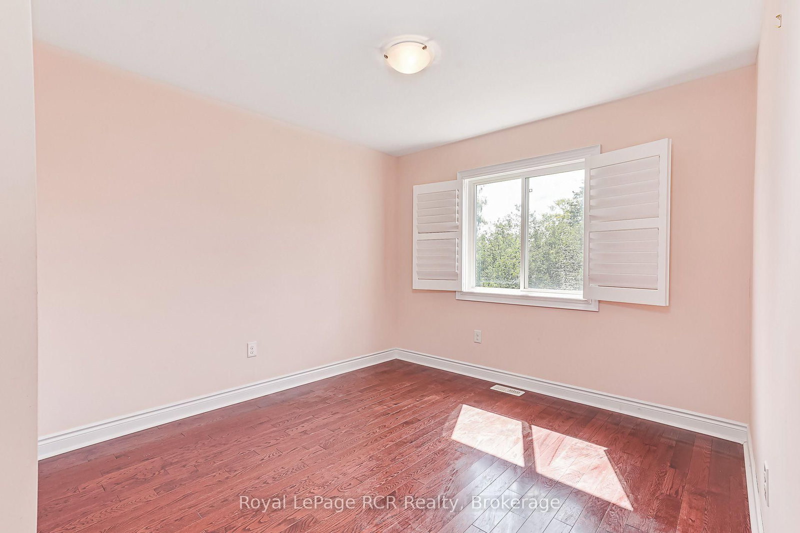 252 Spruce Street • Clearview, ON photo 24