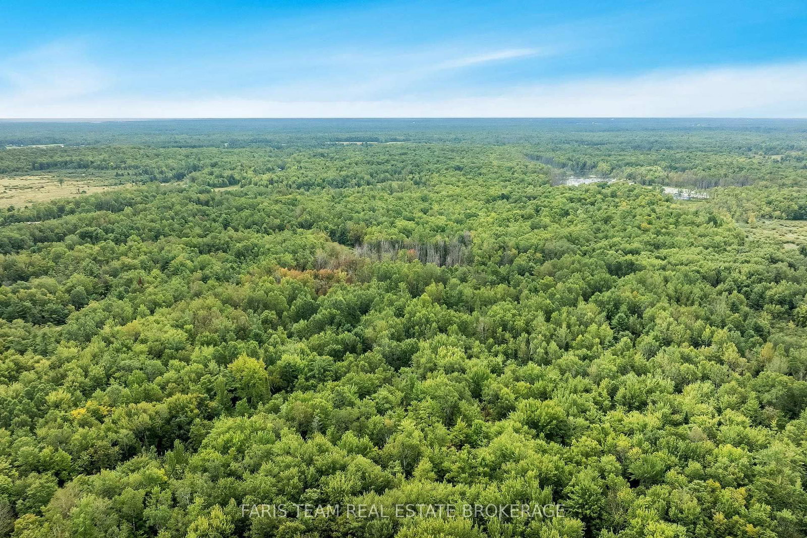 2444 Fairgrounds Road • Ramara, ON photo 12