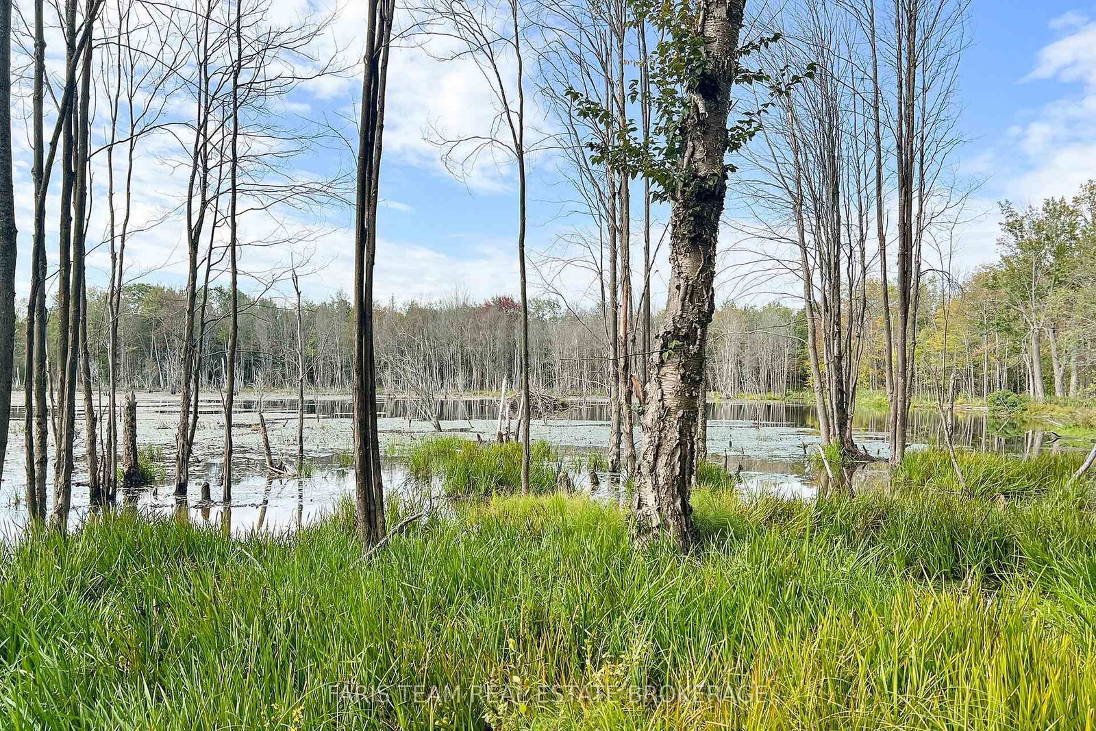 2444 Fairgrounds Road • Ramara, ON photo 19