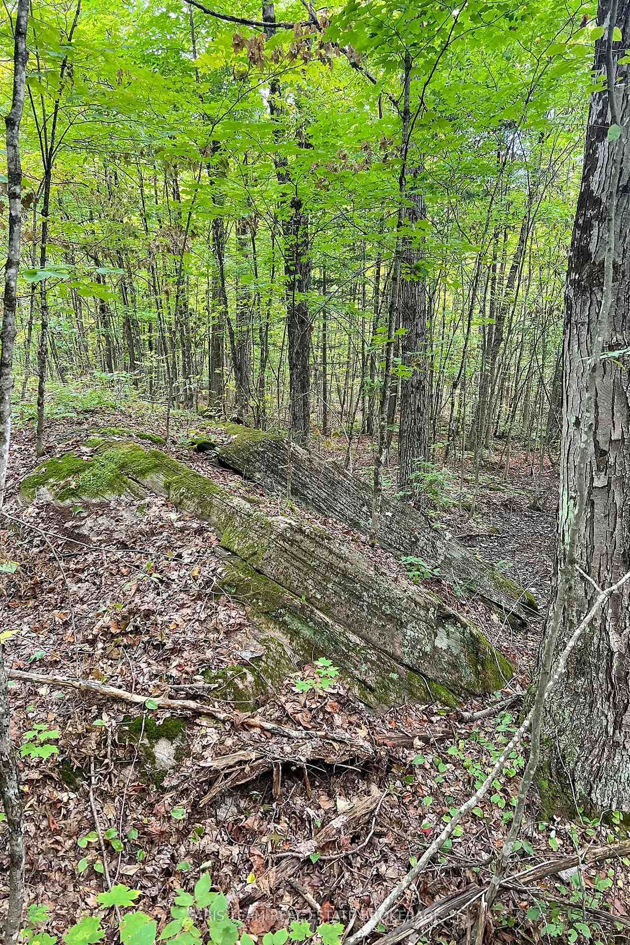 2444 Fairgrounds Road • Ramara, ON photo 21