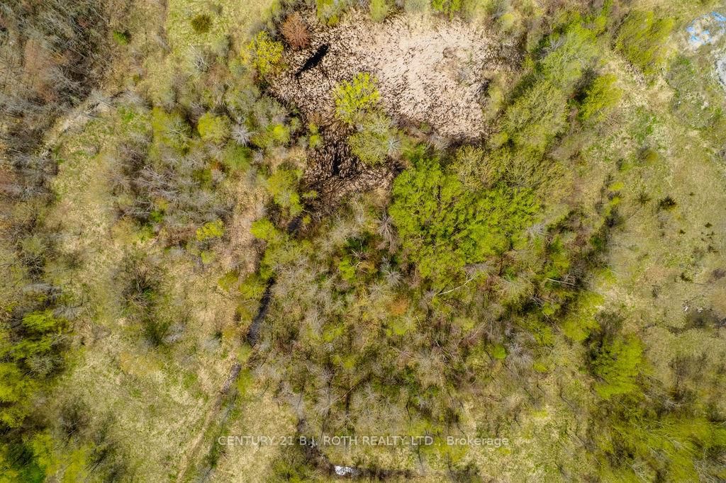 15 Quarry Road • Tay, ON photo 11