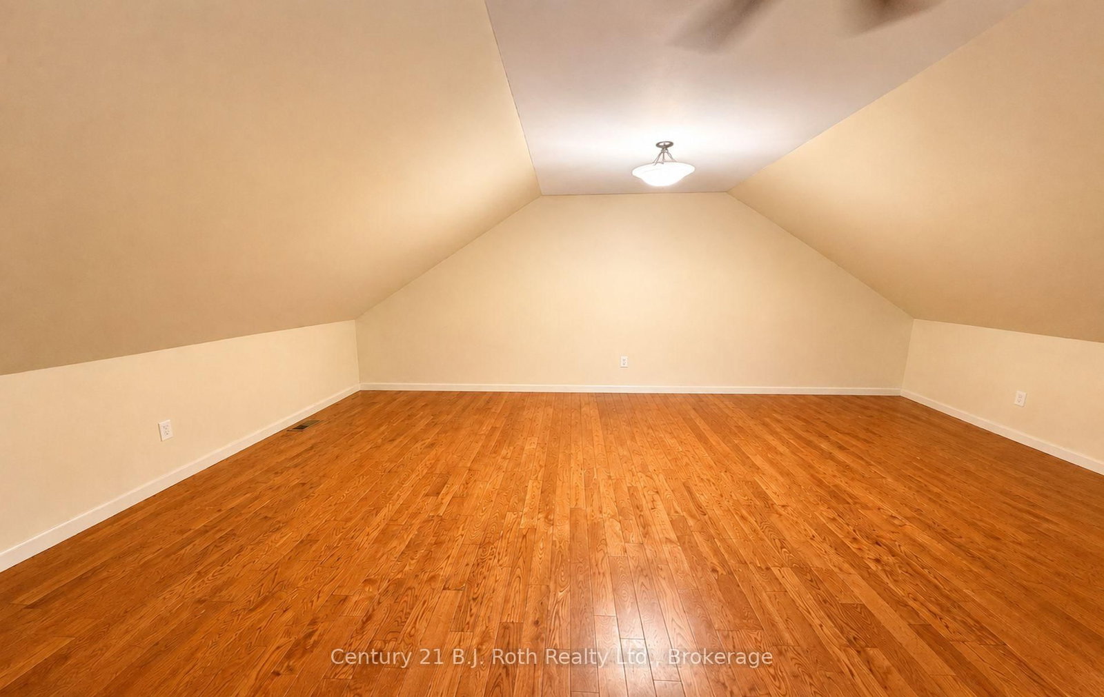 100 Cameron Street • Orillia, ON photo 19