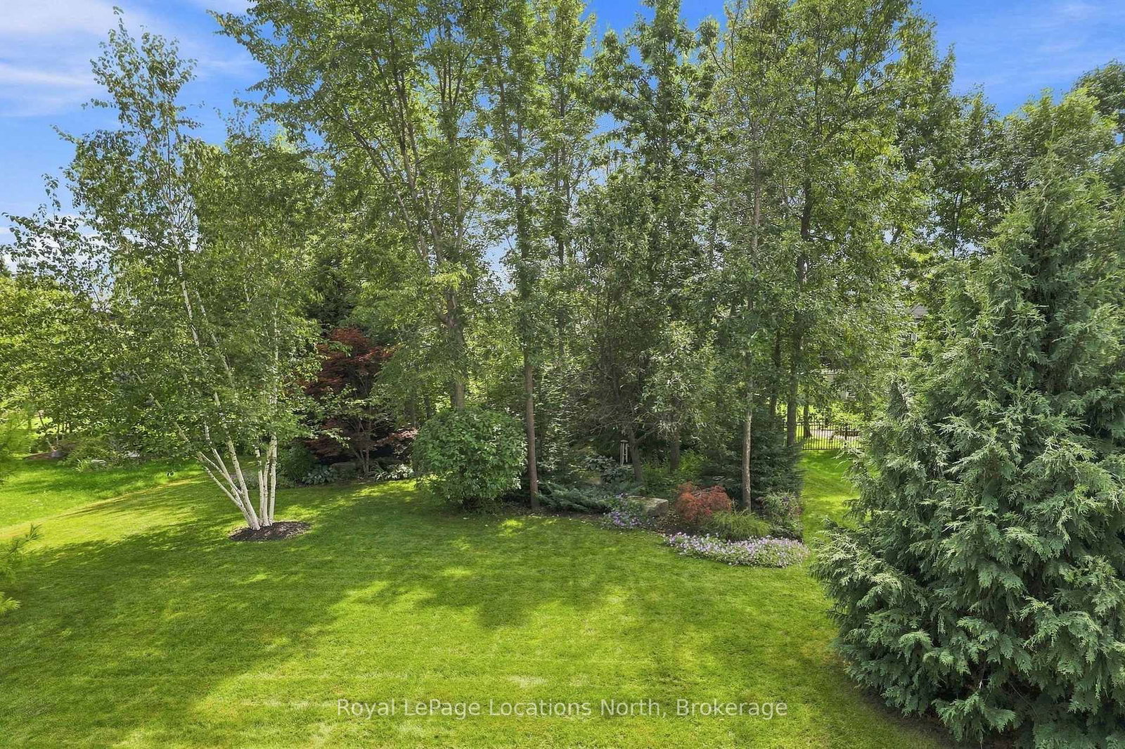 114 Stanley Street • Collingwood, ON photo 40