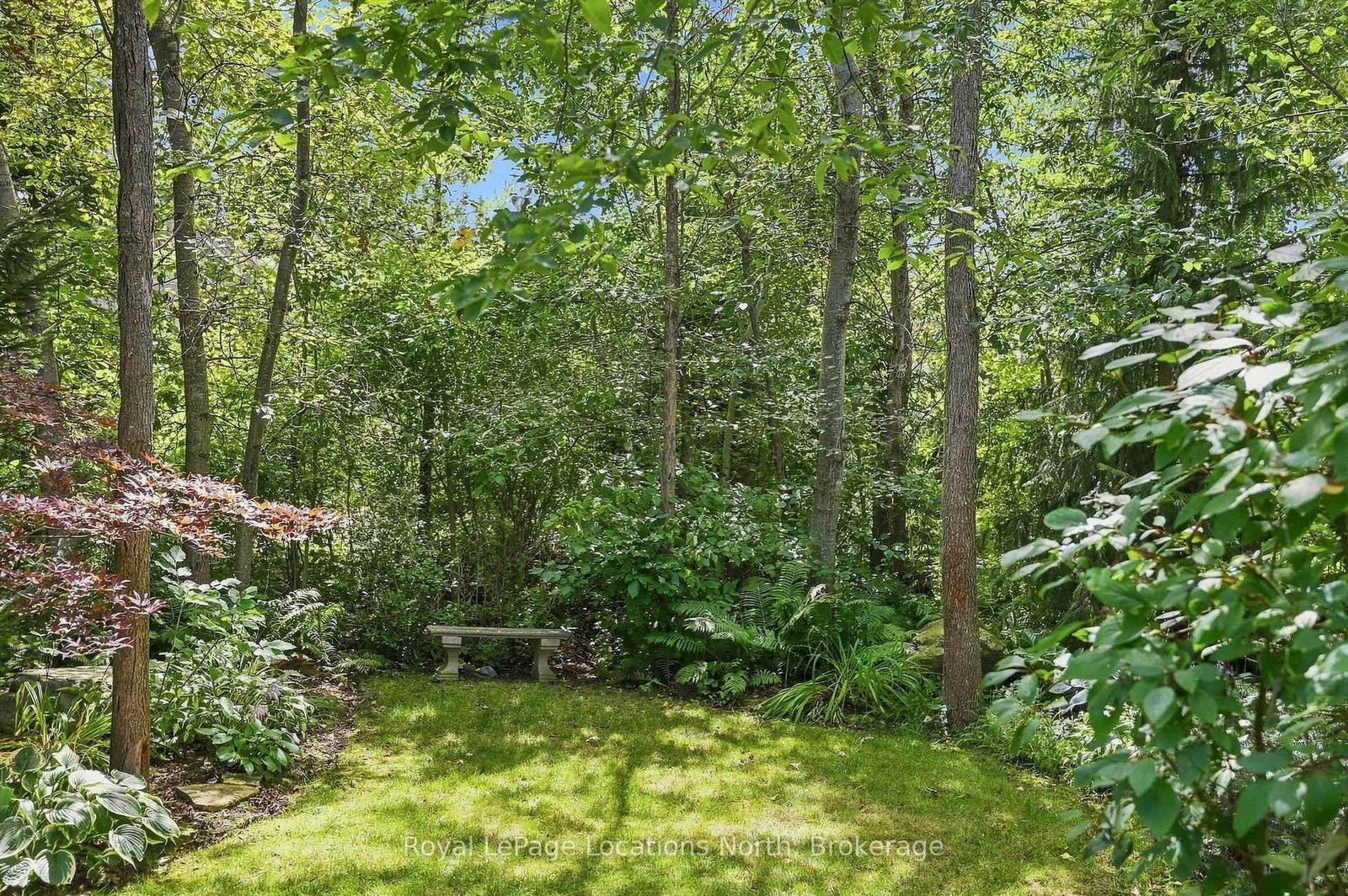 114 Stanley Street • Collingwood, ON photo 41