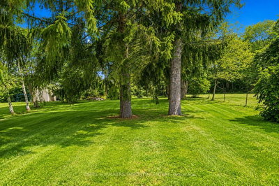 204 Cox Mill Road • Barrie, ON photo 3
