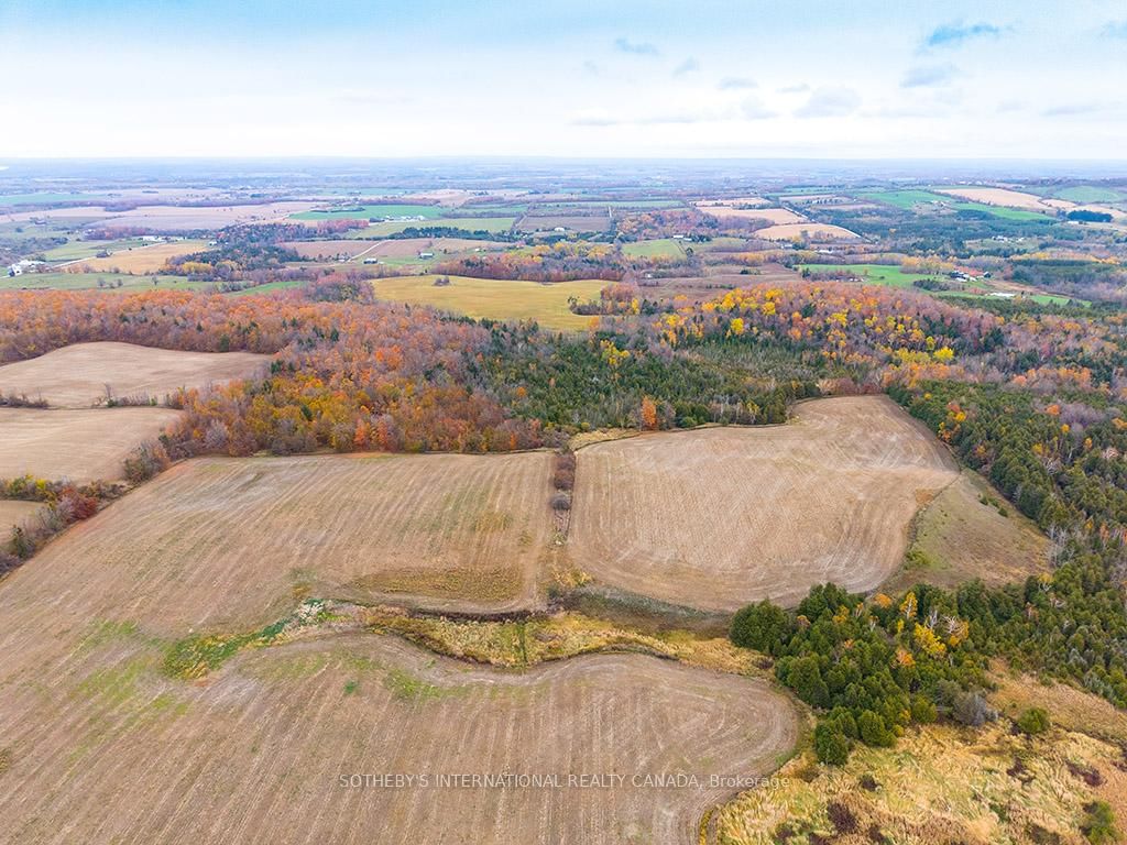 2205 County Road 124 • Clearview, ON photo 12