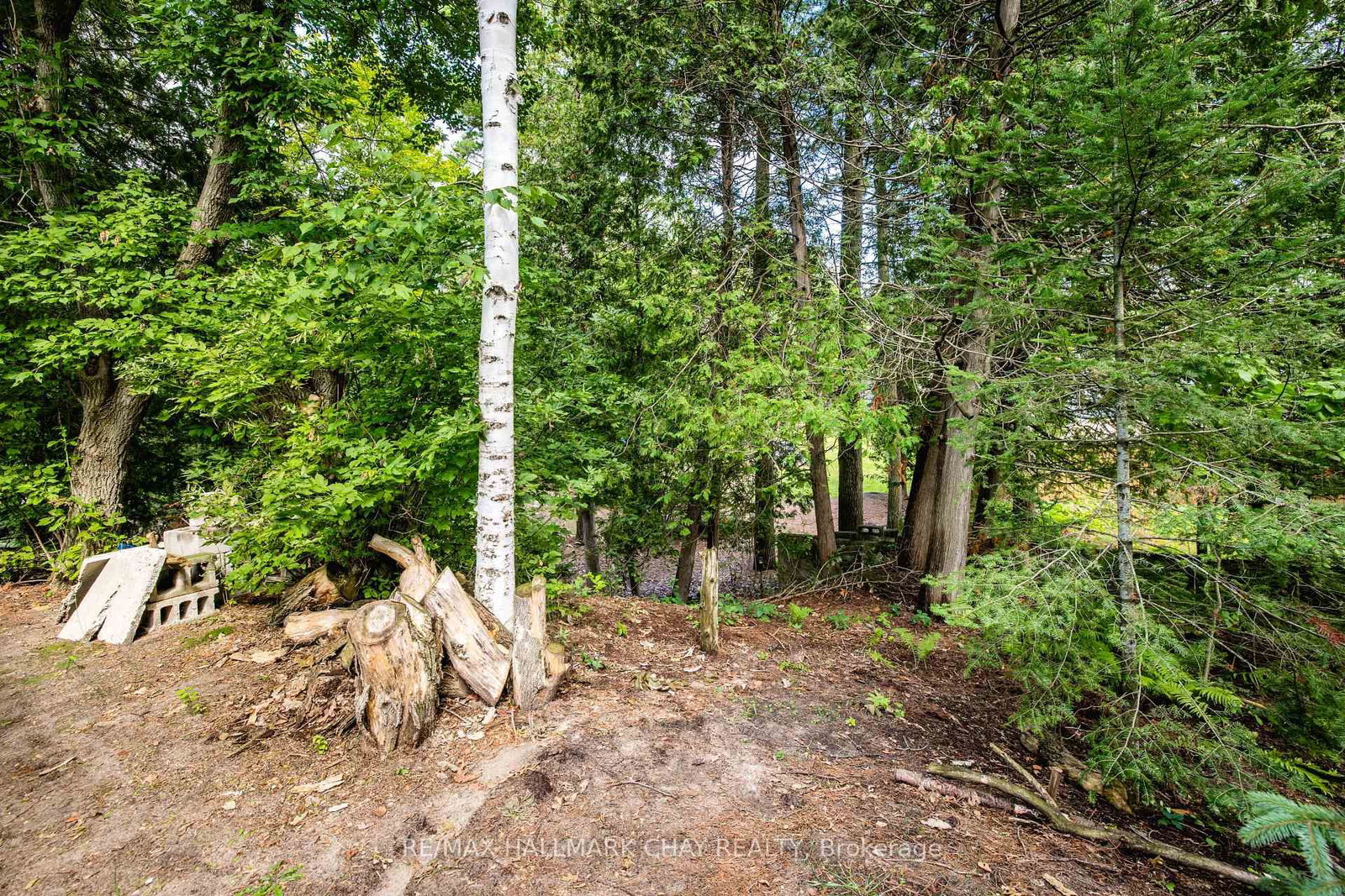 1221 River Road E • Wasaga Beach, ON photo 23