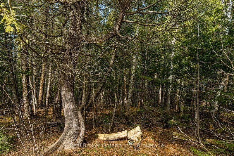 LOT 116 IROQUOIS Crescent