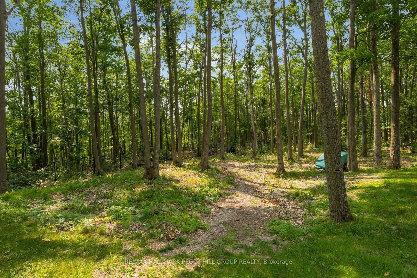 6 Maplehill Drive • Oro-Medonte, ON photo 19
