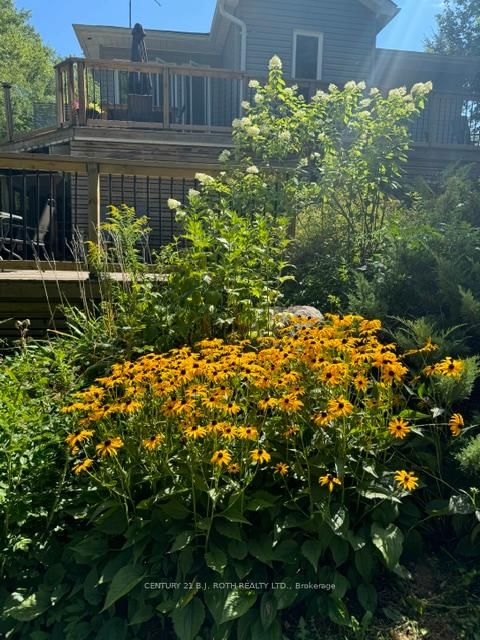 8101 Kings River Road • Ramara, ON photo 24